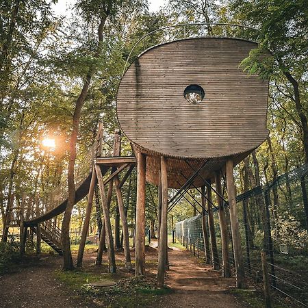 Tree Inn - Das Baumhaushotel Doerverden Экстерьер фото