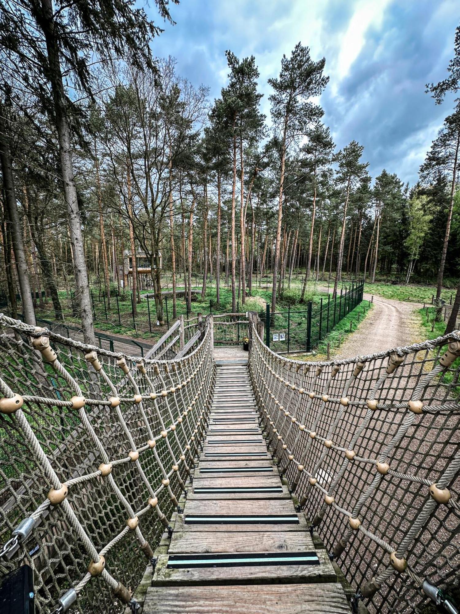 Tree Inn - Das Baumhaushotel Doerverden Экстерьер фото