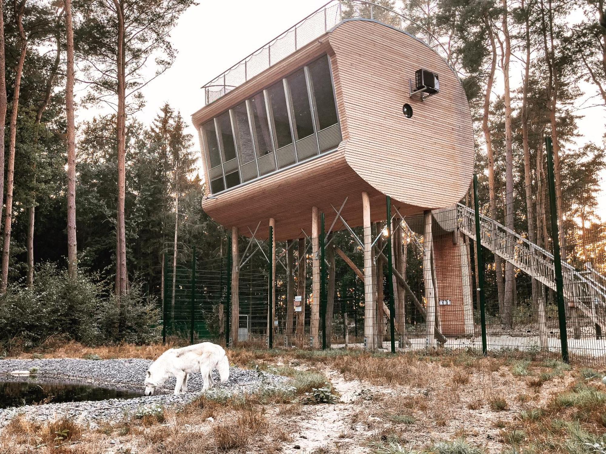 Tree Inn - Das Baumhaushotel Doerverden Экстерьер фото