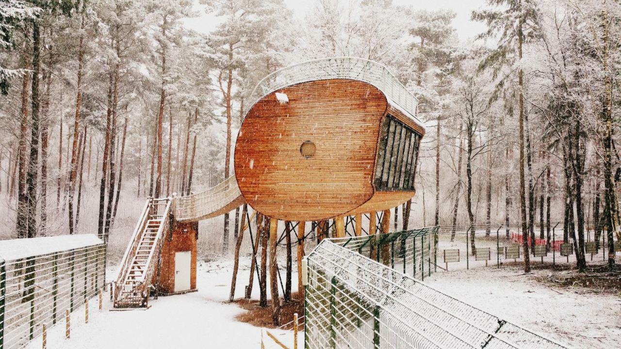 Tree Inn - Das Baumhaushotel Doerverden Экстерьер фото
